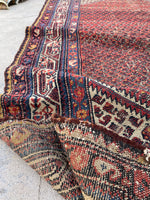 [vintage rugs] - Blue Parakeet Rugs