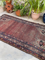 [vintage rugs] - Blue Parakeet Rugs