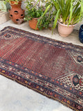 [vintage rugs] - Blue Parakeet Rugs