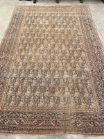 6x9 Antique Persian Mashhad Rug #2257 / 6x9 vintage rug - Blue Parakeet Rugs