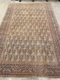 6x9 Antique Persian Mashhad Rug #2257 / 6x9 vintage rug - Blue Parakeet Rugs