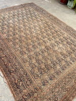 6x9 Antique Persian Mashhad Rug #2257 / 6x9 vintage rug - Blue Parakeet Rugs