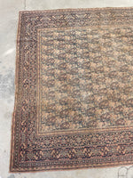 6x9 Antique Persian Mashhad Rug #2257 / 6x9 vintage rug - Blue Parakeet Rugs