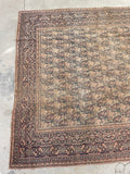 6x9 Antique Persian Mashhad Rug #2257 / 6x9 vintage rug - Blue Parakeet Rugs