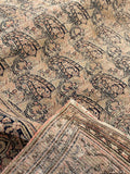6x9 Antique Persian Mashhad Rug #2257 / 6x9 vintage rug - Blue Parakeet Rugs