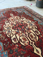 [vintage rugs] - Blue Parakeet Rugs