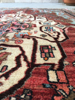 [vintage rugs] - Blue Parakeet Rugs