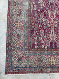 [vintage rugs] - Blue Parakeet Rugs
