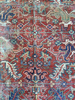[vintage rugs] - Blue Parakeet Rugs