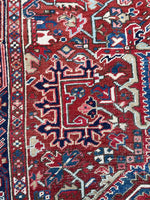 [vintage rugs] - Blue Parakeet Rugs