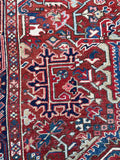 [vintage rugs] - Blue Parakeet Rugs