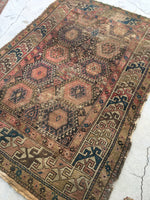 4'5 x 6'2 Antique Shirvan Caucasian rug - Blue Parakeet Rugs
