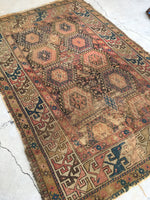 4'5 x 6'2 Antique Shirvan Caucasian rug - Blue Parakeet Rugs