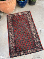 [vintage rugs] - Blue Parakeet Rugs