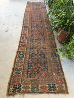 [vintage rugs] - Blue Parakeet Rugs