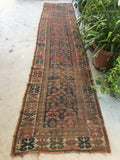 [vintage rugs] - Blue Parakeet Rugs