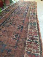 [vintage rugs] - Blue Parakeet Rugs