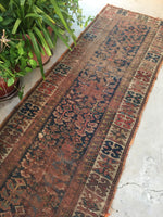 [vintage rugs] - Blue Parakeet Rugs