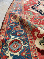 8'8 x 12'2 Antique Persian Serapi with Teal border #2655A / Large Vintage Rug - Blue Parakeet Rugs