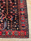 5'6 x 7'6 Antique Jewel toned Malayer rug #2107 / 6x8 Vintage Rug - Blue Parakeet Rugs