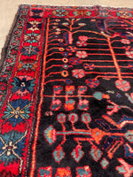 5'6 x 7'6 Antique Jewel toned Malayer rug #2107 / 6x8 Vintage Rug - Blue Parakeet Rugs