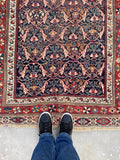 [vintage rugs] - Blue Parakeet Rugs