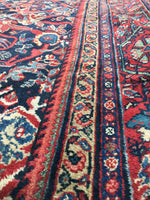 9'10 x 13'6 Midnight Blue Antique Mahal - Blue Parakeet Rugs