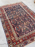 [vintage rugs] - Blue Parakeet Rugs