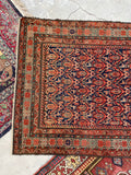 3'6 x 6'4 Late 19th Century tribal Malayer rug #1957ML/ 4x6 Vintage Rug - Blue Parakeet Rugs