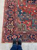 [vintage rugs] - Blue Parakeet Rugs