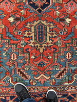 [vintage rugs] - Blue Parakeet Rugs