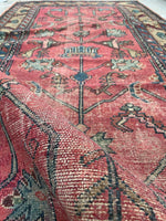 [vintage rugs] - Blue Parakeet Rugs