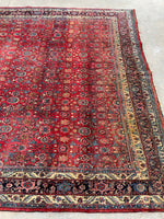 8'3 x 11'3 Antique Persian Iron Bidjar rug #2110 / 8x11 Vintage Rug - Blue Parakeet Rugs