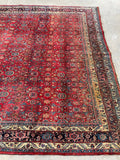 8'3 x 11'3 Antique Persian Iron Bidjar rug #2110 / 8x11 Vintage Rug - Blue Parakeet Rugs