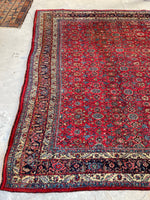 8'3 x 11'3 Antique Persian Iron Bidjar rug #2110 / 8x11 Vintage Rug - Blue Parakeet Rugs