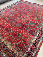8'3 x 11'3 Antique Persian Iron Bidjar rug #2110 / 8x11 Vintage Rug - Blue Parakeet Rugs