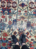 13'9 x 16'6 antique Persian Serapi Bakhshayesh (#808) / 14x17 vintage rug / 14x16 vintage rug - Blue Parakeet Rugs