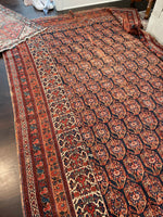 [vintage rugs] - Blue Parakeet Rugs