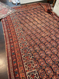 [vintage rugs] - Blue Parakeet Rugs
