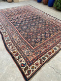 7'8 x 10'10 Antique Persian Bidjar rug #2461ML / 8x11 Persian rug - Blue Parakeet Rugs