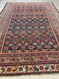 7'8 x 10'10 Antique Persian Bidjar rug #2461ML / 8x11 Persian rug - Blue Parakeet Rugs