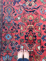 9 x 12'3 Salmon Antique Mahal - Blue Parakeet Rugs