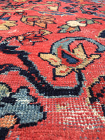 9 x 12'3 Salmon Antique Mahal - Blue Parakeet Rugs