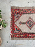 [vintage rugs] - Blue Parakeet Rugs