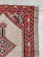 [vintage rugs] - Blue Parakeet Rugs