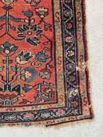 2'4 x 4' Antique coral scatter rug #2113 / 2x4 Vintage Rug - Blue Parakeet Rugs