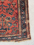 2'4 x 4' Antique coral scatter rug #2113 / 2x4 Vintage Rug - Blue Parakeet Rugs