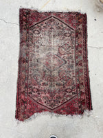 [vintage rugs] - Blue Parakeet Rugs