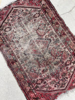 [vintage rugs] - Blue Parakeet Rugs