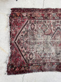 [vintage rugs] - Blue Parakeet Rugs